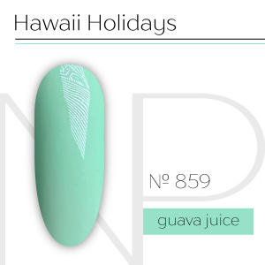 NARTIST гель-лак 859, Guava juice,10g