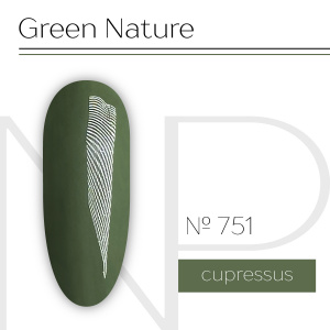 NARTIST гель-лак 751, Cupressus 10g