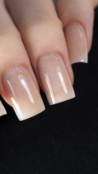 NR Golden nude gel № 295 (15 гр)