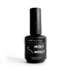 Holy Molly Топ GLITTER 1, 15мл