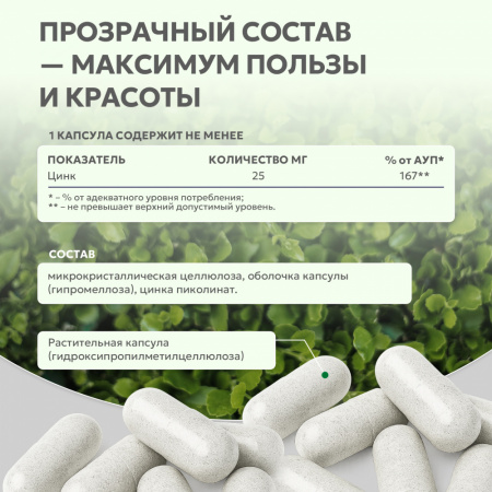 NaturalSupp Пиколинат Цинка 60 капс.